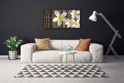 Quadro canvas Flores Planta Natureza