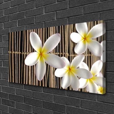 Quadro canvas Flores Planta Natureza