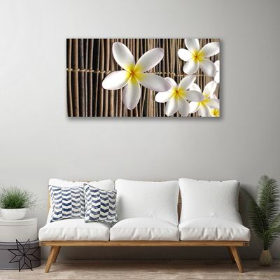 Quadro canvas Flores Planta Natureza