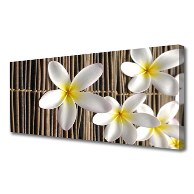 Quadro canvas Flores Planta Natureza