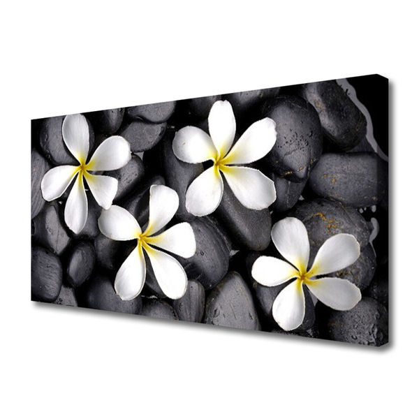 Quadro em tela Flores Planta Natureza