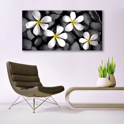 Quadro em tela Flores Planta Natureza
