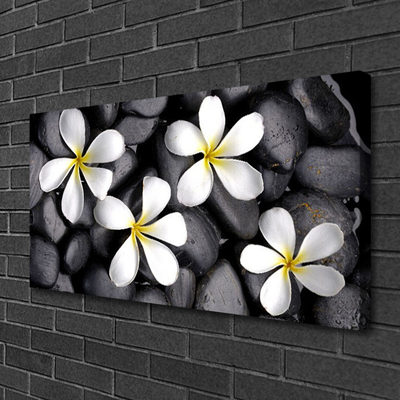 Quadro em tela Flores Planta Natureza