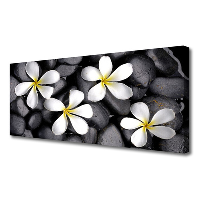 Quadro em tela Flores Planta Natureza