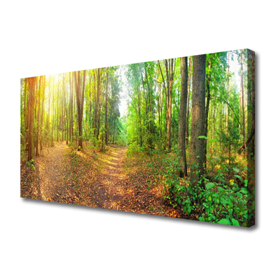 Quadro canvas Floresta Natureza Árvores