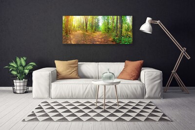 Quadro canvas Floresta Natureza Árvores