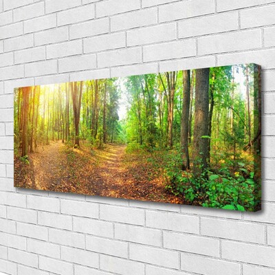 Quadro canvas Floresta Natureza Árvores