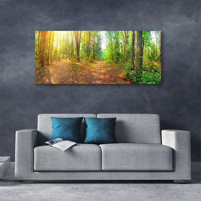 Quadro canvas Floresta Natureza Árvores