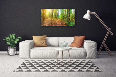 Quadro canvas Floresta Natureza Árvores