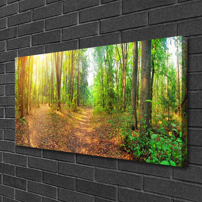Quadro canvas Floresta Natureza Árvores