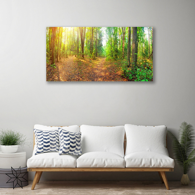 Quadro canvas Floresta Natureza Árvores