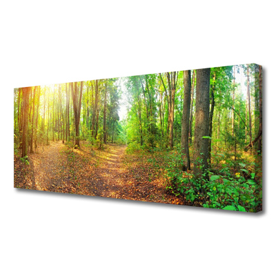 Quadro canvas Floresta Natureza Árvores