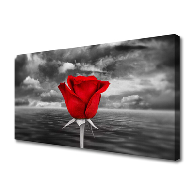 Quadro canvas Planta Flor Rosa Mar