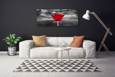Quadro canvas Planta Flor Rosa Mar