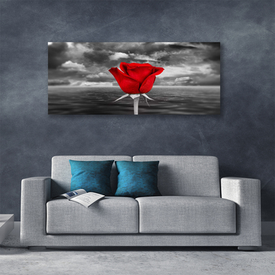 Quadro canvas Planta Flor Rosa Mar