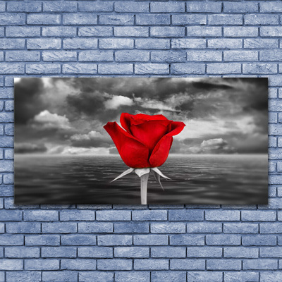 Quadro canvas Planta Flor Rosa Mar