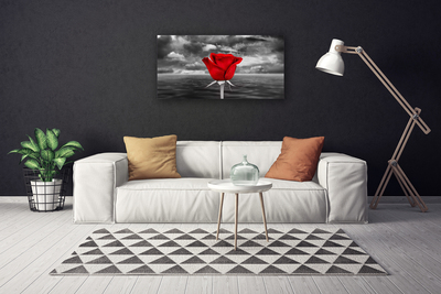 Quadro canvas Planta Flor Rosa Mar