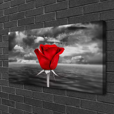 Quadro canvas Planta Flor Rosa Mar