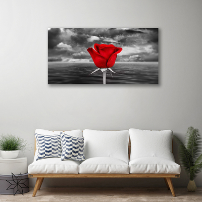 Quadro canvas Planta Flor Rosa Mar