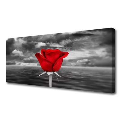 Quadro canvas Planta Flor Rosa Mar