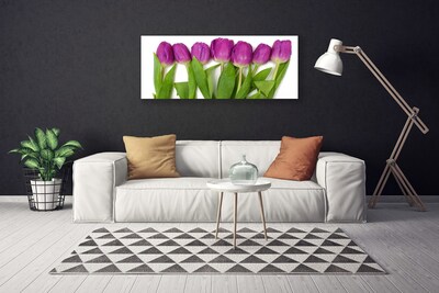 Quadro em tela Tulipas Flores Planta