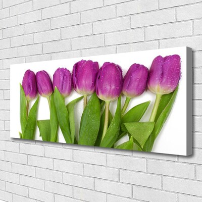 Quadro em tela Tulipas Flores Planta