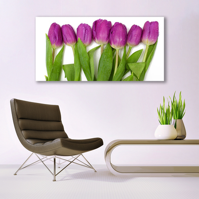 Quadro em tela Tulipas Flores Planta