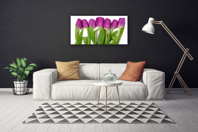 Quadro em tela Tulipas Flores Planta