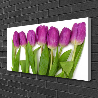 Quadro em tela Tulipas Flores Planta