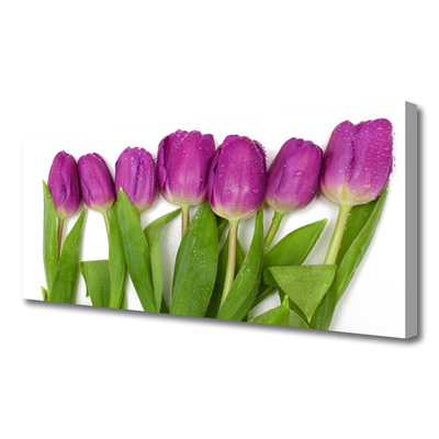 Quadro em tela Tulipas Flores Planta