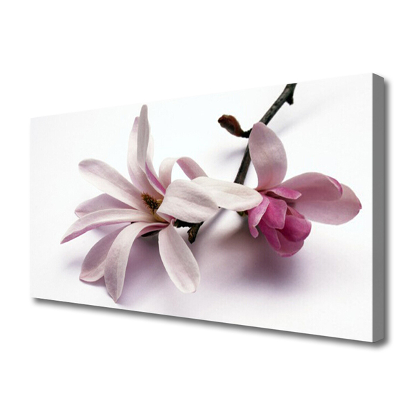 Quadro canvas Flor Planta Natureza