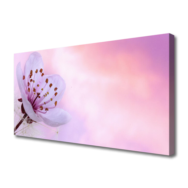 Quadro em tela Flor Planta Natureza