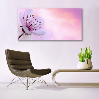 Quadro em tela Flor Planta Natureza