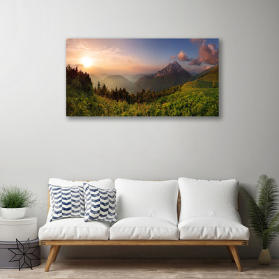 Quadro canvas Natureza da Floresta da Montanha