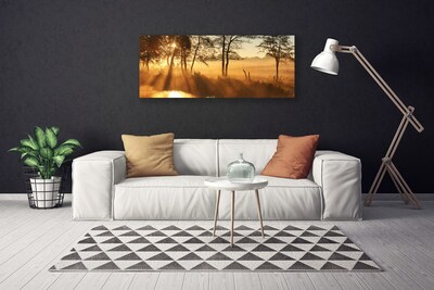 Quadro canvas Árvores Natureza