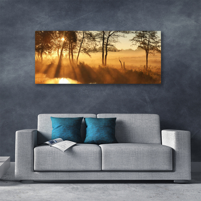 Quadro canvas Árvores Natureza