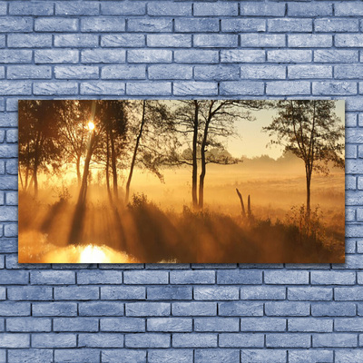 Quadro canvas Árvores Natureza