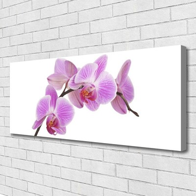 Quadro em tela Flores Planta Natureza