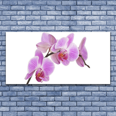 Quadro em tela Flores Planta Natureza