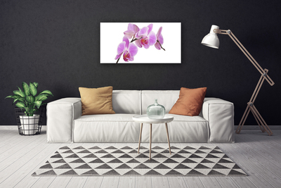 Quadro em tela Flores Planta Natureza