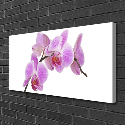 Quadro em tela Flores Planta Natureza