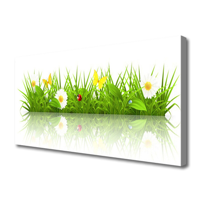 Quadro canvas Grama Natureza Planta