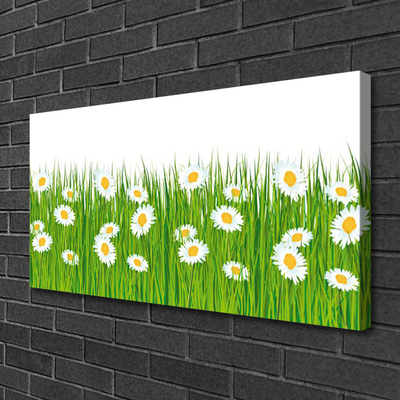 Quadro canvas Natureza da grama margarida