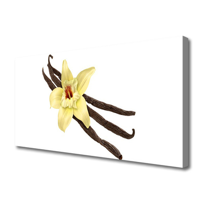 Quadro canvas Flor Planta Natureza