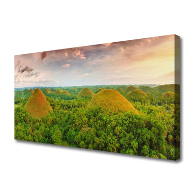 Quadro em tela Floresta Selva Natureza