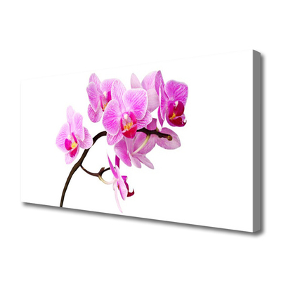 Quadro canvas Flores Planta Natureza