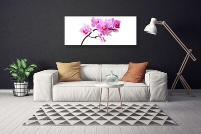 Quadro canvas Flores Planta Natureza