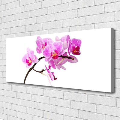 Quadro canvas Flores Planta Natureza