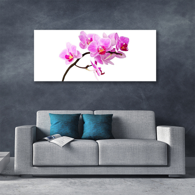 Quadro canvas Flores Planta Natureza