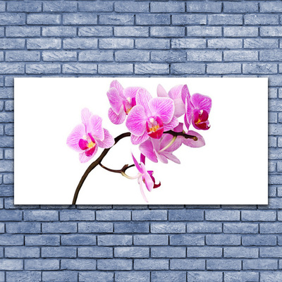 Quadro canvas Flores Planta Natureza